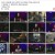 심야 괴담회.E41.220113.H264.720p-BULDU