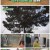 자급자족원정대.E03.220120.1080p.H264-F1RST