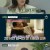 오은영의 금쪽 상담소.E16.220121.720p-NEXT