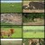 글로벌 특선다큐.E5202.220130.720p