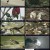 동물의왕국.220204.동물들의파워게임2부.720p