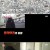 TV 동물농장.E1056.220206.720p-NEXT