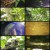 글로벌 특선다큐.E5053.220213.720p