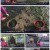 인간극장.E5259.220215.1080p.H264-F1RST