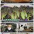 6시 내고향.E7476.220222.1080p.H264-F1RST