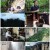 세계테마기행_ 따뜻해서 좋아, 아시아-명산이 좋아, 중국_ 220304