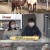 TV 동물농장.E1059.220306.720p-NEXT