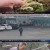 동물극장 단짝.E08.220318.720p-NEXT
