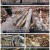 팔도밥상.E252.220319.1080p.H264-F1RST