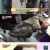 TV 동물농장.E1061.220320.720p-NEXT