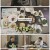 나 혼자 산다.E438.220325.1080p.H264-F1RST