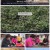 팔도밥상.E253.220326.1080p.H264-F1RST