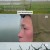 SBS 스페셜 가디언즈 오브 툰드라 2부.E02.220326.720p-NEXT