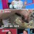 동상이몽2 너는 내 운명.E246.220516.720p-NEXT