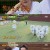 아는 형님.E335.220604.720p-NEXT.mp4