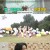 전지적 참견 시점.E205.220625.720p-NEXT
