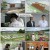 우리 나무로 집 짓기_ 건축탐구 집_ 220628