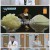 엄지의 제왕.E493.220705.1080p.H264-F1RST