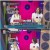 이십세기 힛트쏭.E120.220708.720p-NICE