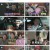 나 혼자 산다.E453.220708.1080p.H264-F1RST