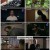 접속 무비월드.E779.221126.720p-NEXT