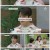 오은영의 금쪽 상담소.E61.221209.1080p.H264-F1RST