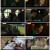 영화가 좋다.E830.221210.720p-F1RsST