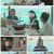 박원숙의 같이 삽시다 시즌3.E91.221213.1080p.H264-F1RST