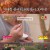 토요일은 밥이 좋아.E51.221217.720p-NEXT
