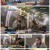 어서와 한국살이는 처음이지?.E01.221220.1080p.H264-F1RST