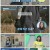 70억의 선택.E33.221222.1080p.H264-F1RST