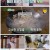 세컨 하우스.E08.221229.1080p.H264-F1RST