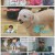 놓친예능따라잡기.E105.230105.1080p.H264-F1RST