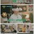 알쓸인잡.E06.230106.1080p.H264-F1RST