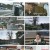나 혼자 산다.E477.230106.1080p.H264-F1RST
