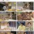 배틀트립2.E10.230107.1080p.H264-F1RST