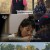 캐나다 체크인.E05.230114.720p-NEXT
