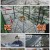 TV 동물농장.E1104.230115.1080p.H264-F1RST