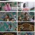 복면가왕.E387.230115.1080p.H264-F1RST