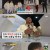런닝맨.E637.230115.1080p-NEXT