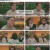 알쓸인잡.E08.230120.1080p.H264-F1RST