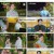 신상출시 편스토랑.E160.230120.1080p.H264-F1RST