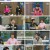 속풀이쇼 동치미.E531.230121.1080p.H264-F1RST