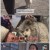 TV 동물농장.E1104.230122.720p.WANNA
