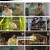 복면가왕.E388.230122.1080p.H264-F1RST