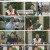 프리한19.E347.230123.1080p.H264-F1RST