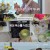 설 기획 박원숙의 같이 삽시다 시즌3.E97.230124.720p-NEXT