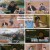 다시 갈 지도.E43.230126.1080p.H264-F1RST