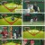집사부일체 2.E05.230129.1080p.H264-F1RST