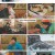텐트 밖은 유럽 노르웨이 편.E07.230622.720p.H264-F1RST